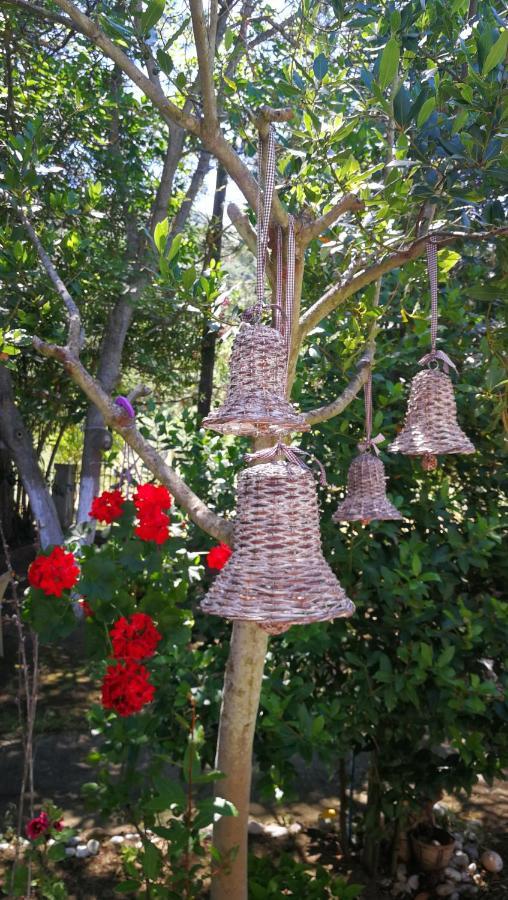 Holiday home Garden Valentina *