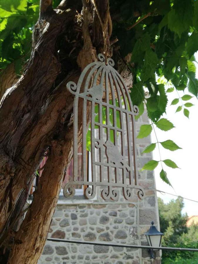 μαχη ενοικιαζόμενα Apartment