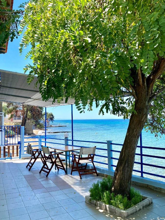 Manolis Studios Thassos Skala Kallirakhis