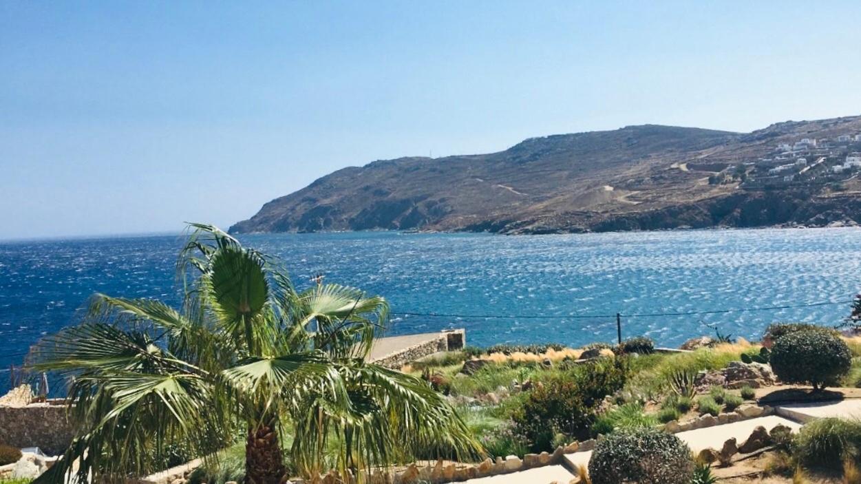 Salty Kalo Livadi