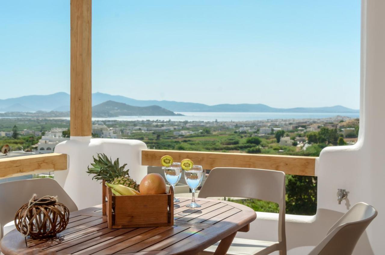 Naxos Pantheon Luxury Agkidia