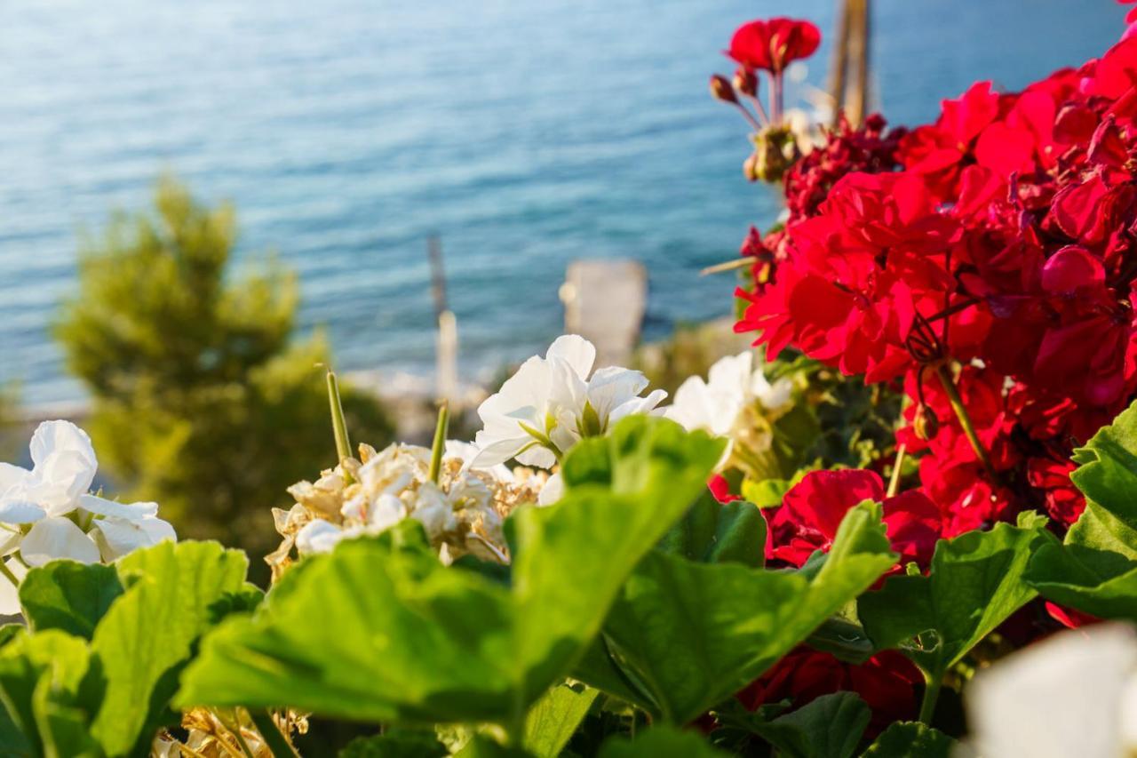 Apartment Mandraki Hydra (Saronic Islands)