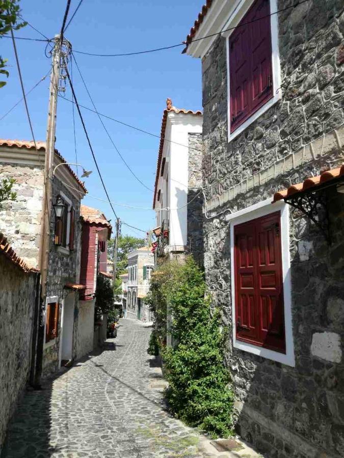 μαχη ενοικιαζόμενα Apartment Mithymna