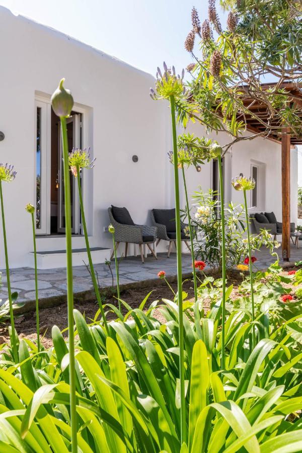 Apartment Secret Garden