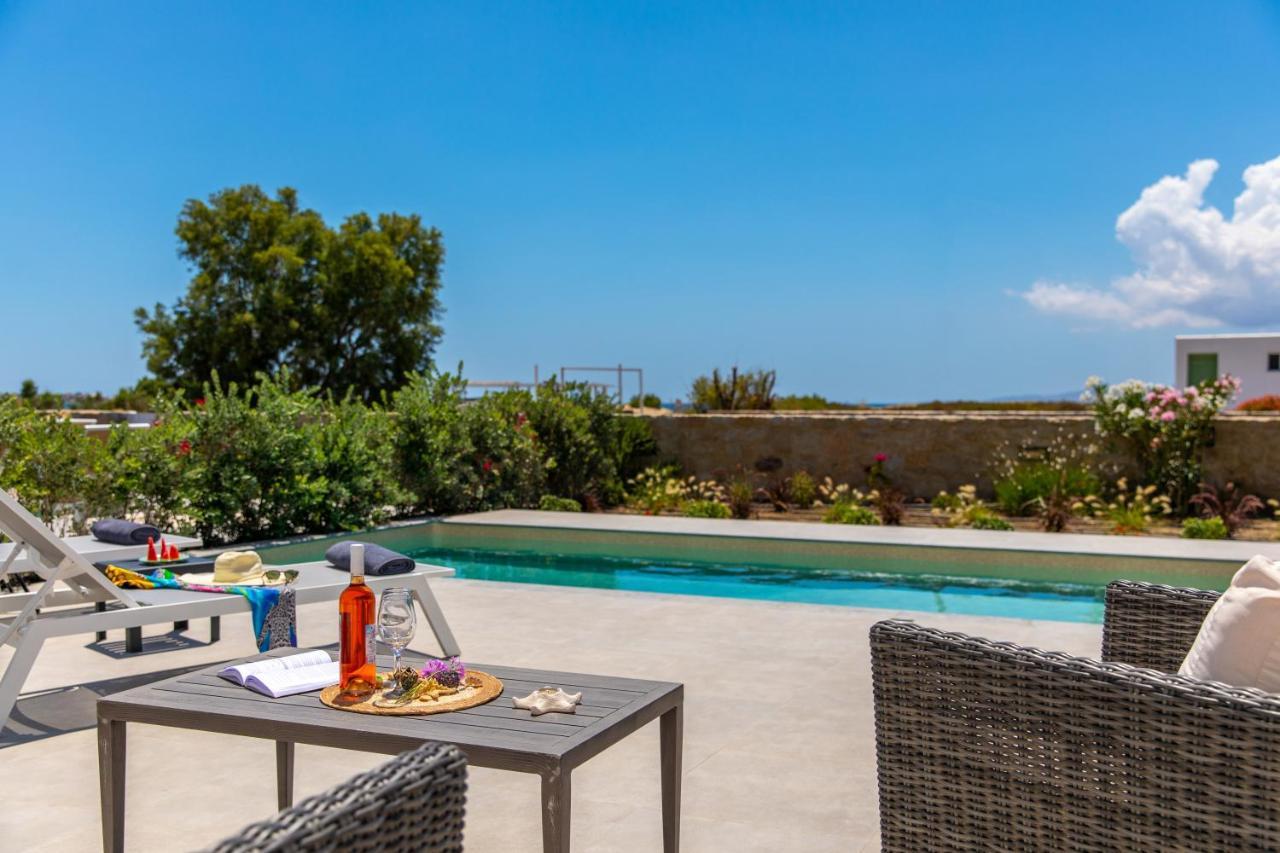 Salinus Beachfront Private Pool Villa Plaka (Naxos)