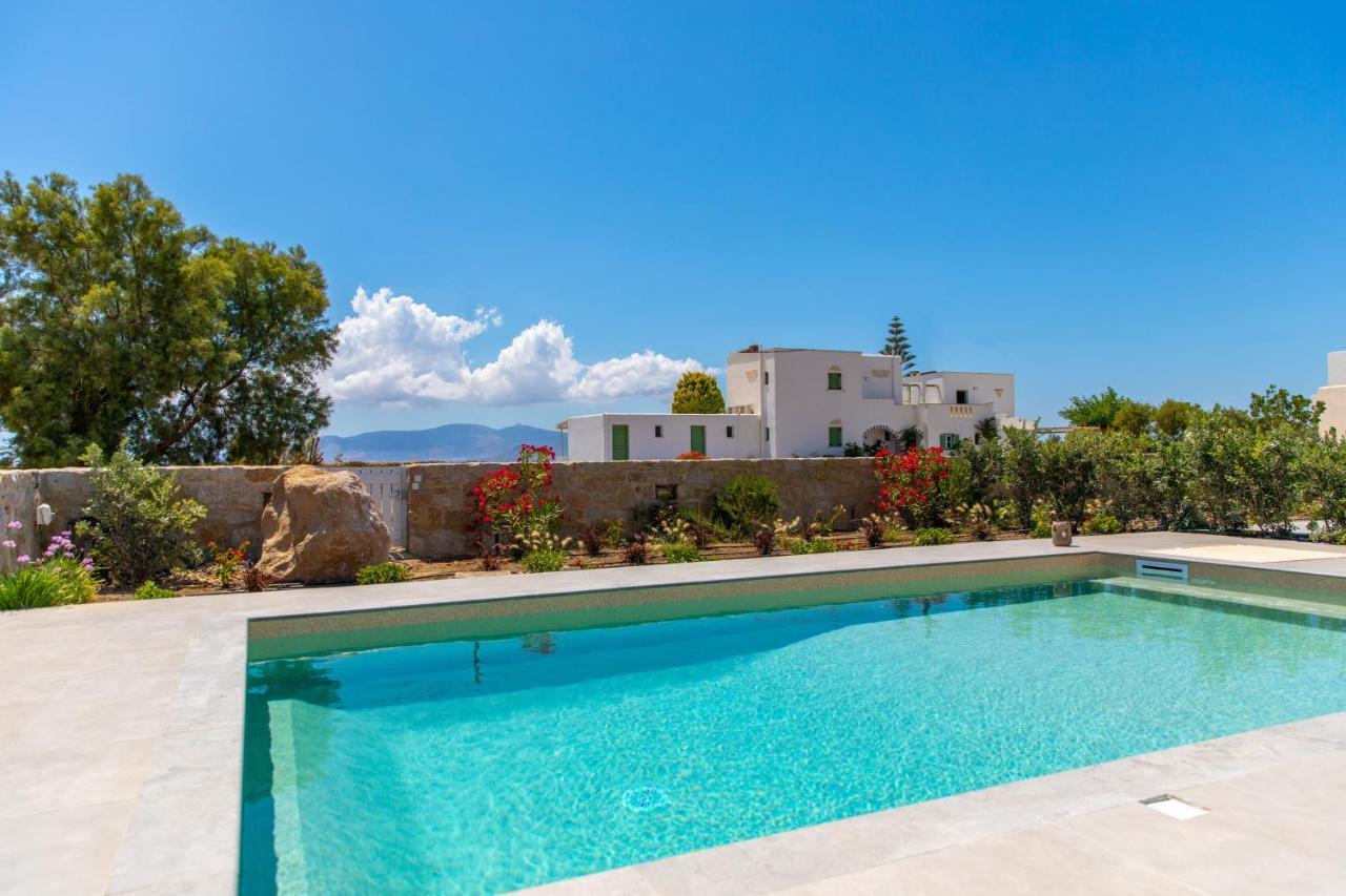 Salinus Beachfront Private Pool Plaka (Naxos)