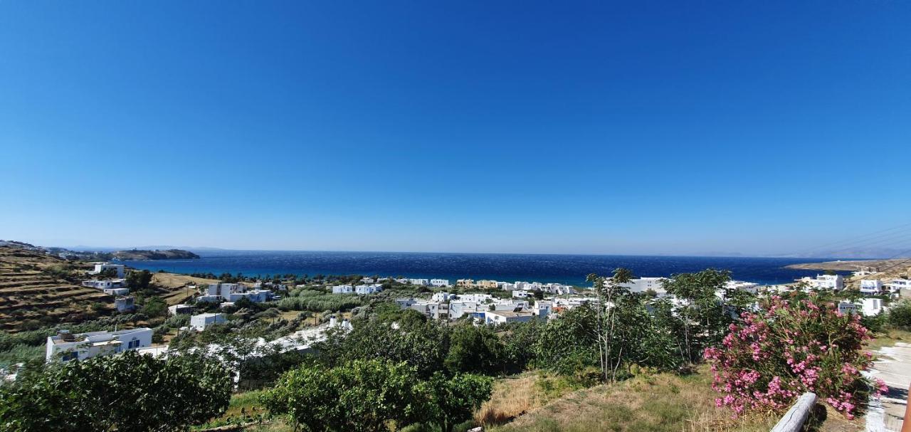 Panorama