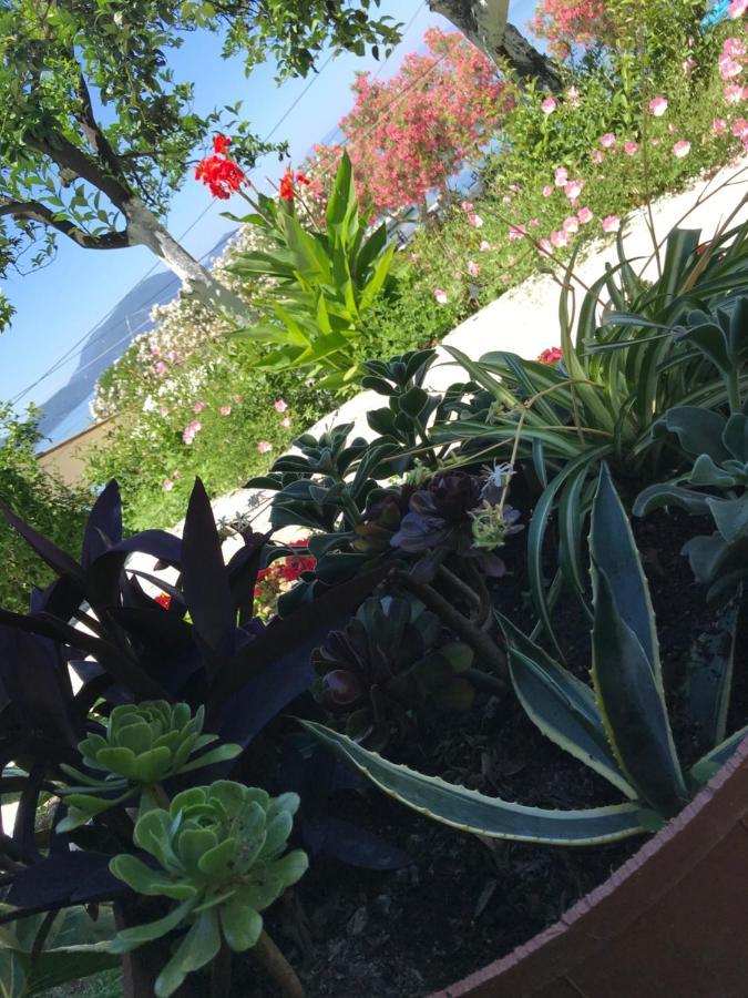 Akrogiali Guest house *