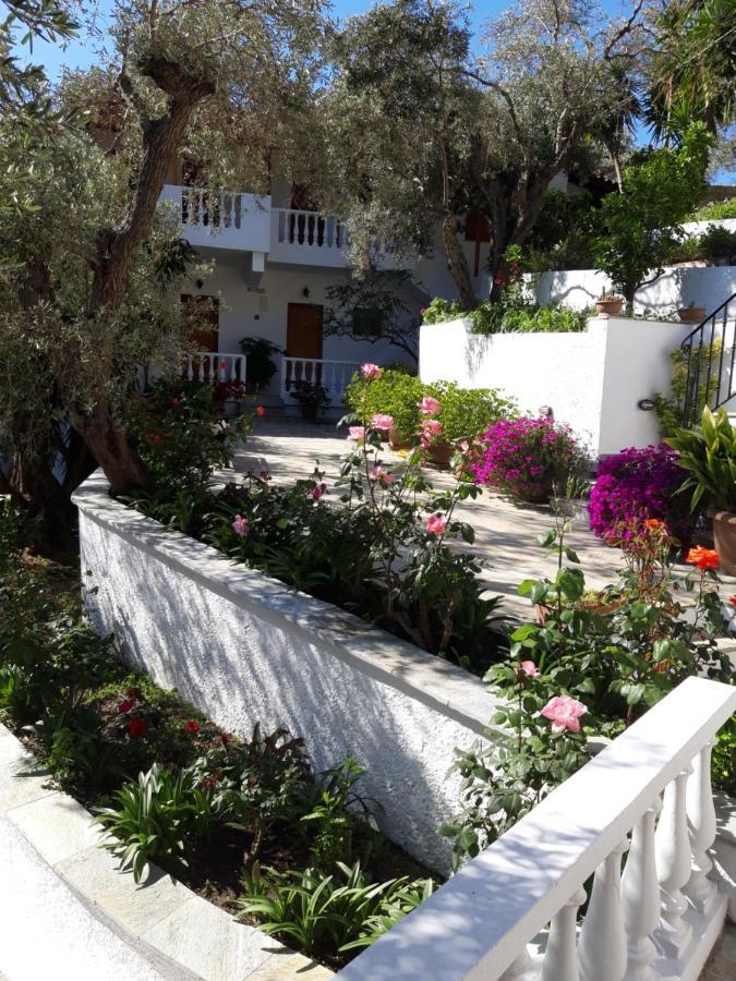 Olive Grove View