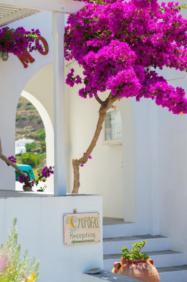 Morpheas & Guest house Kamares (Sifnos)