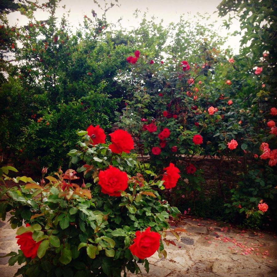 La Casa Rossa *