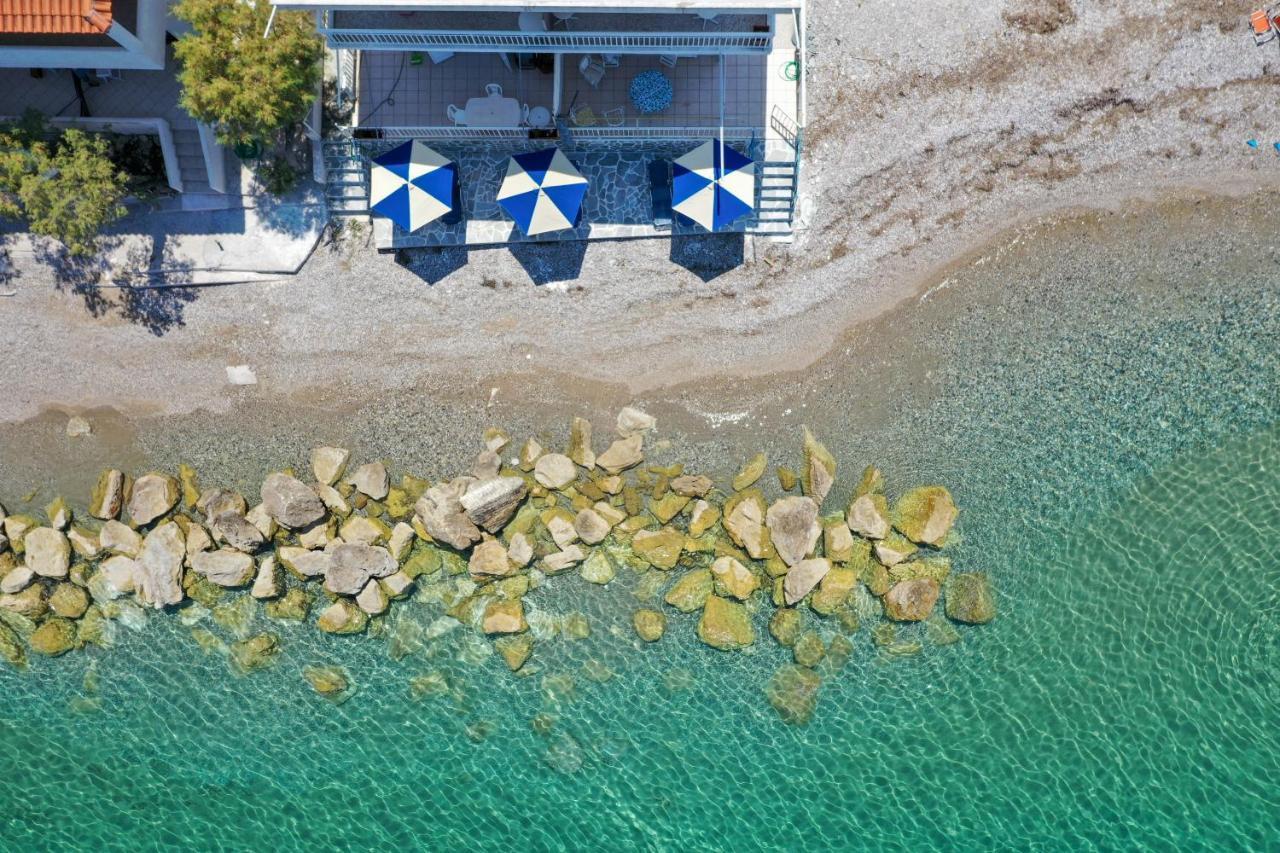 Spacious On The Beachfront *