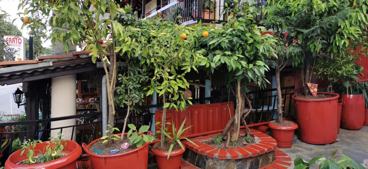 Erato Hotel