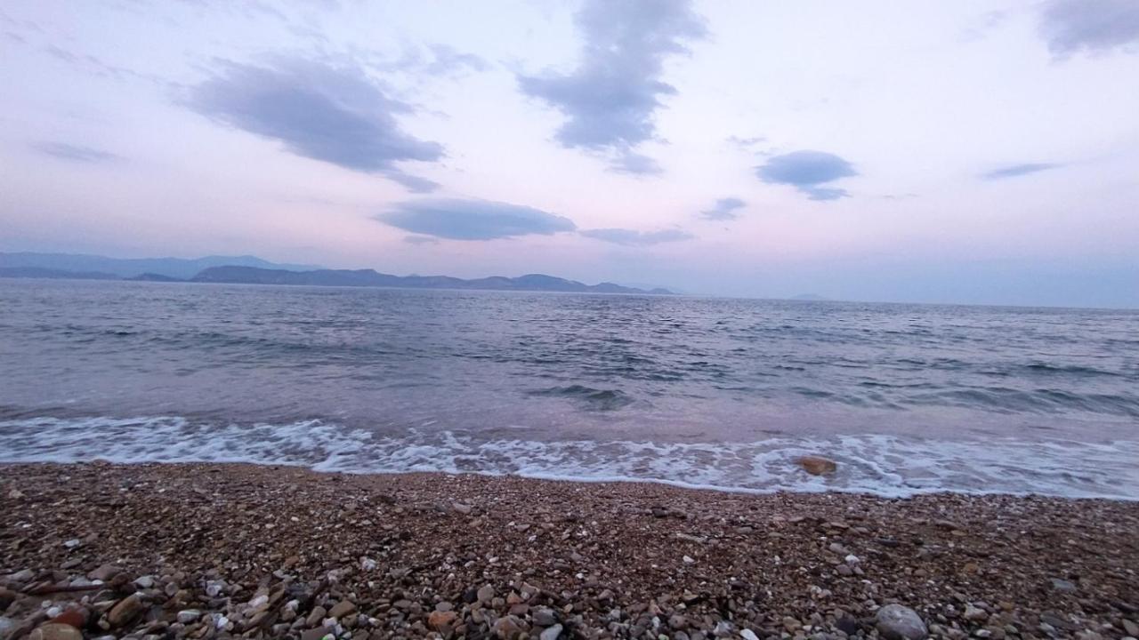 Apartment Vrachos κanari