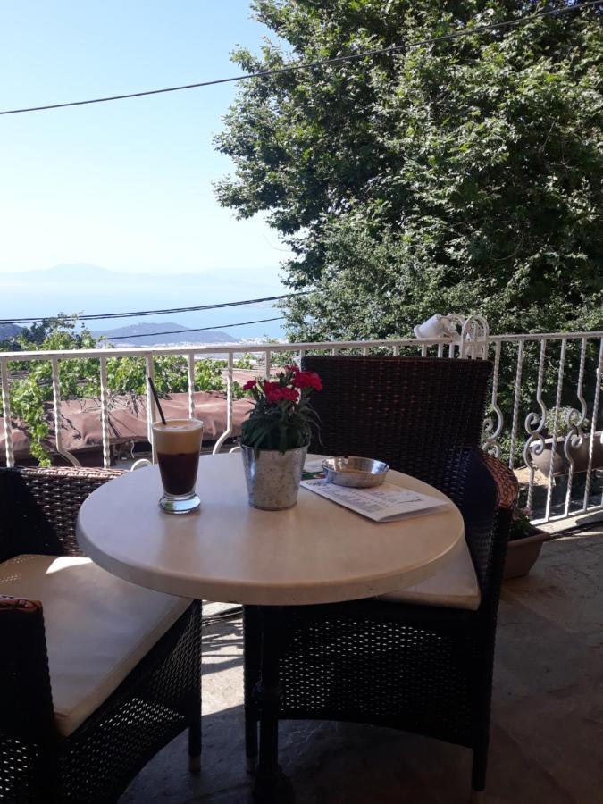 Guest house Mansion Theodora 3*