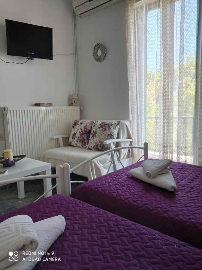 Nancy Apartment *