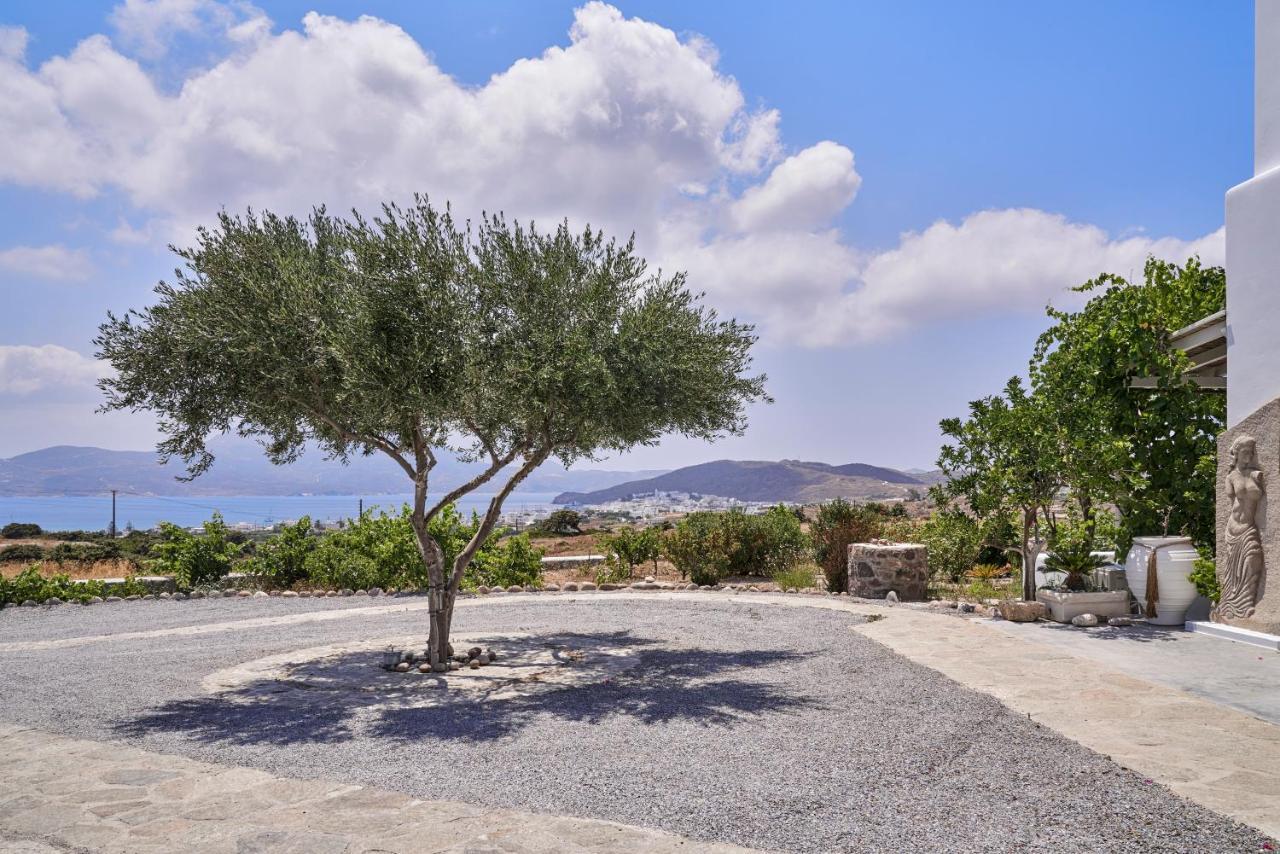 Iliana Olive Branch Apartment