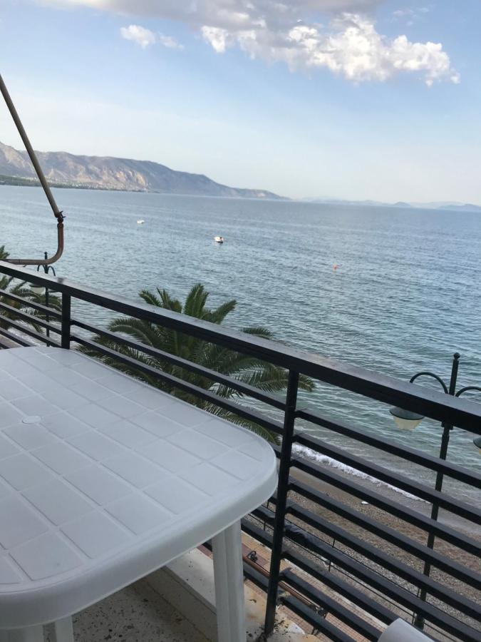 Apartment Nour63 *