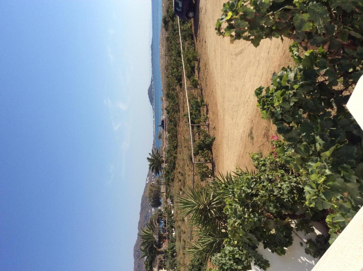 Aronis Naxos *