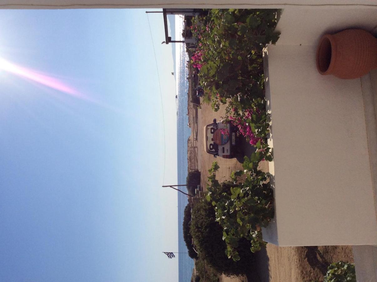 Aronis Naxos *