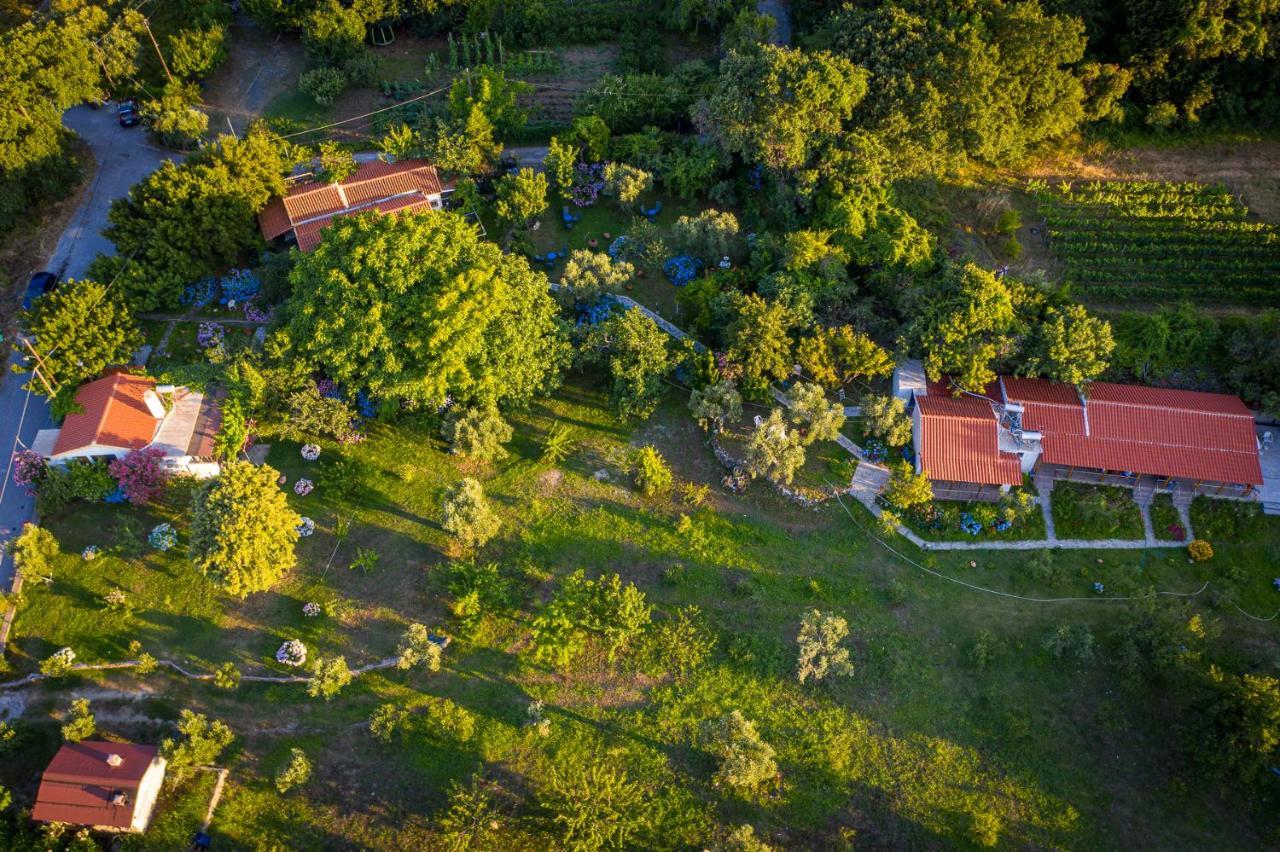 Alekas Hotel *