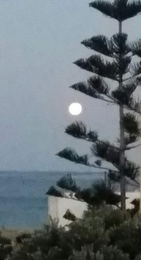 Ionia Aparthotel Agios Petros (Andros)