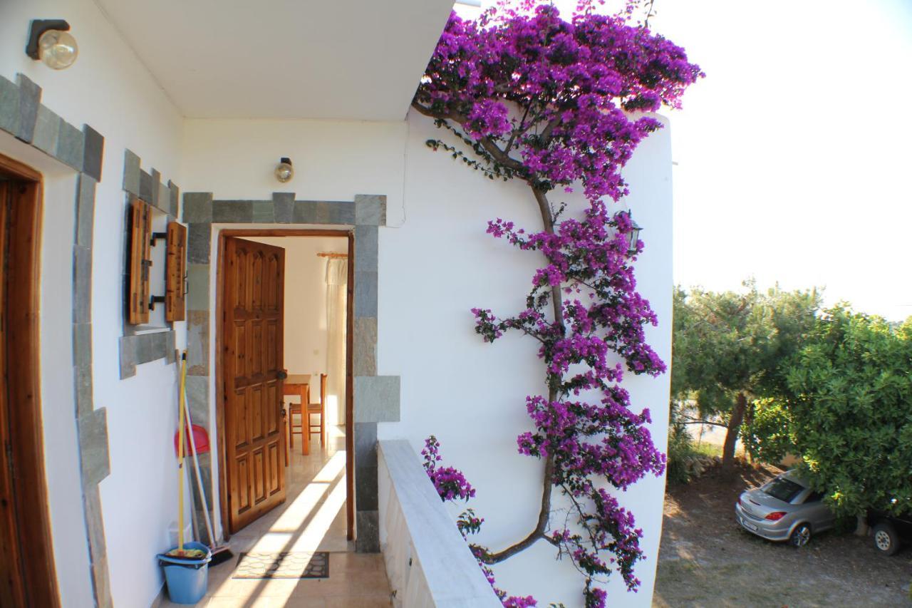 Nikolas House Guest house *