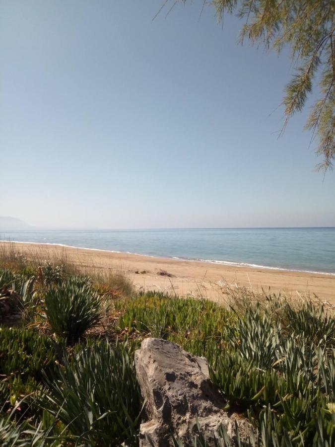 Hotel διεθνές Zacharo