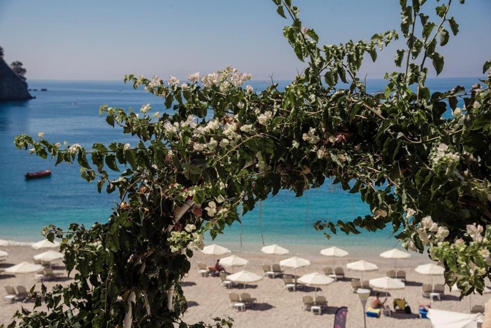 Ionion Apartment Parga