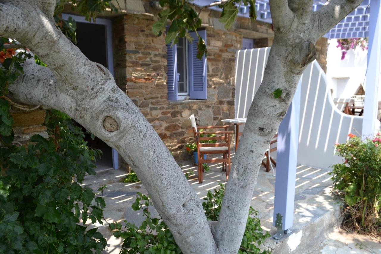 Apartment Ioanna Tinos *
