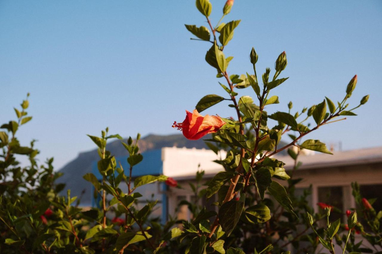 Apartment Sevoula