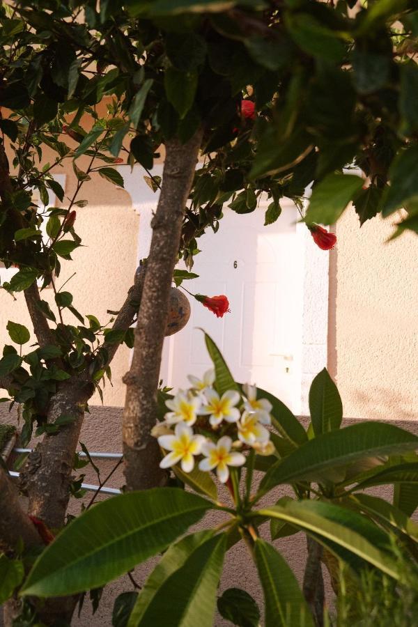 Apartment Sevoula Kefalos (Kos)