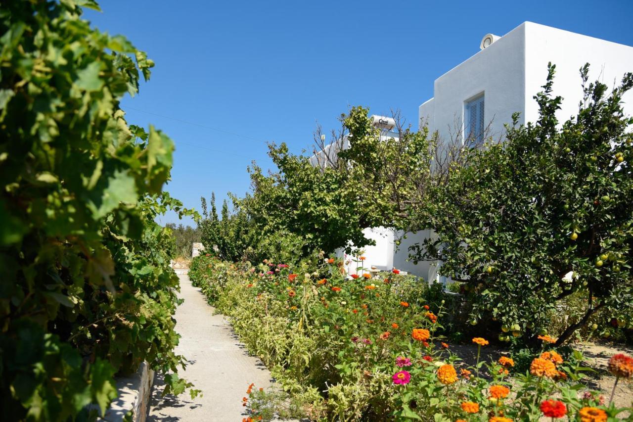 Flora & Agelos Studios Chrisi Akti (Paros)