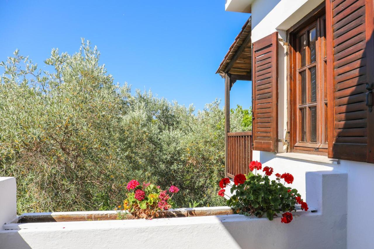 Pandora Skiathos 2*