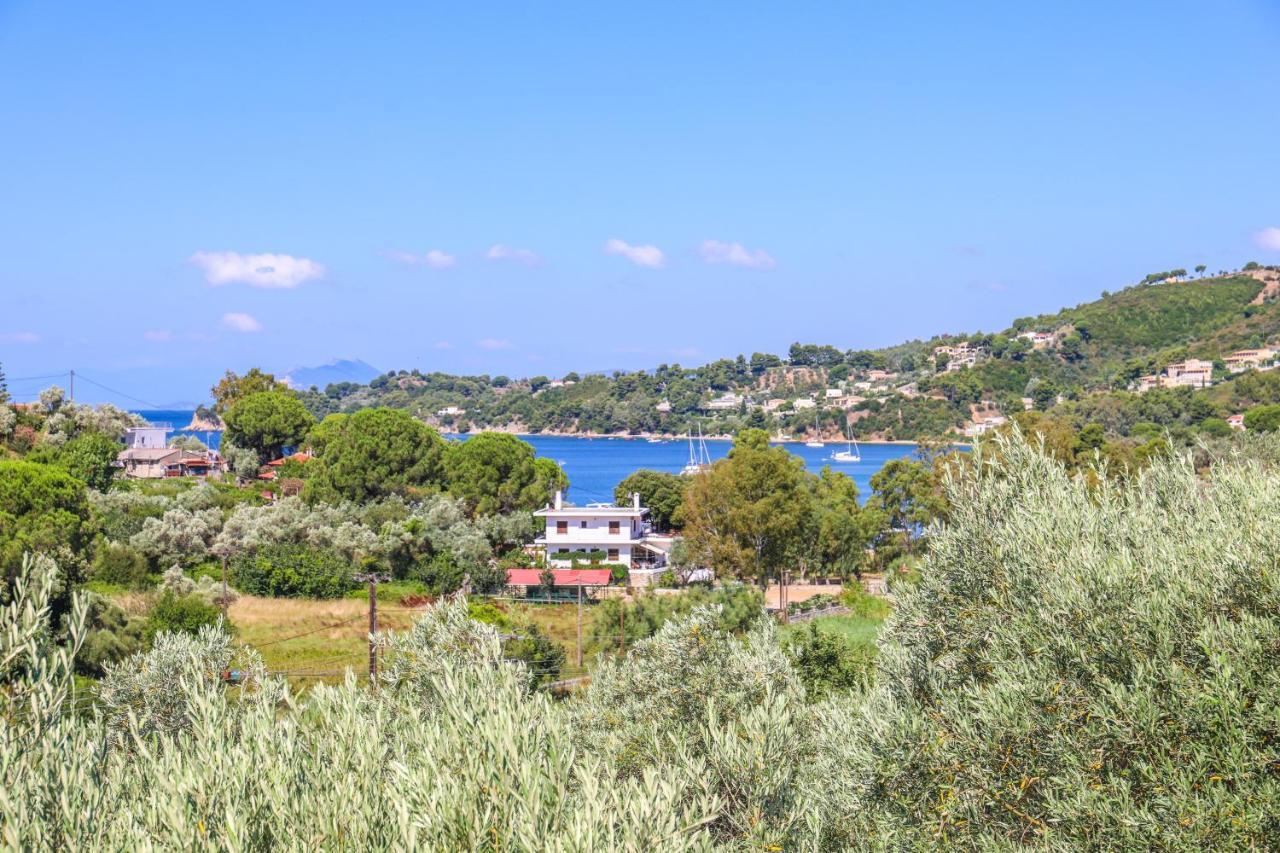 Hotel Pandora Skiathos