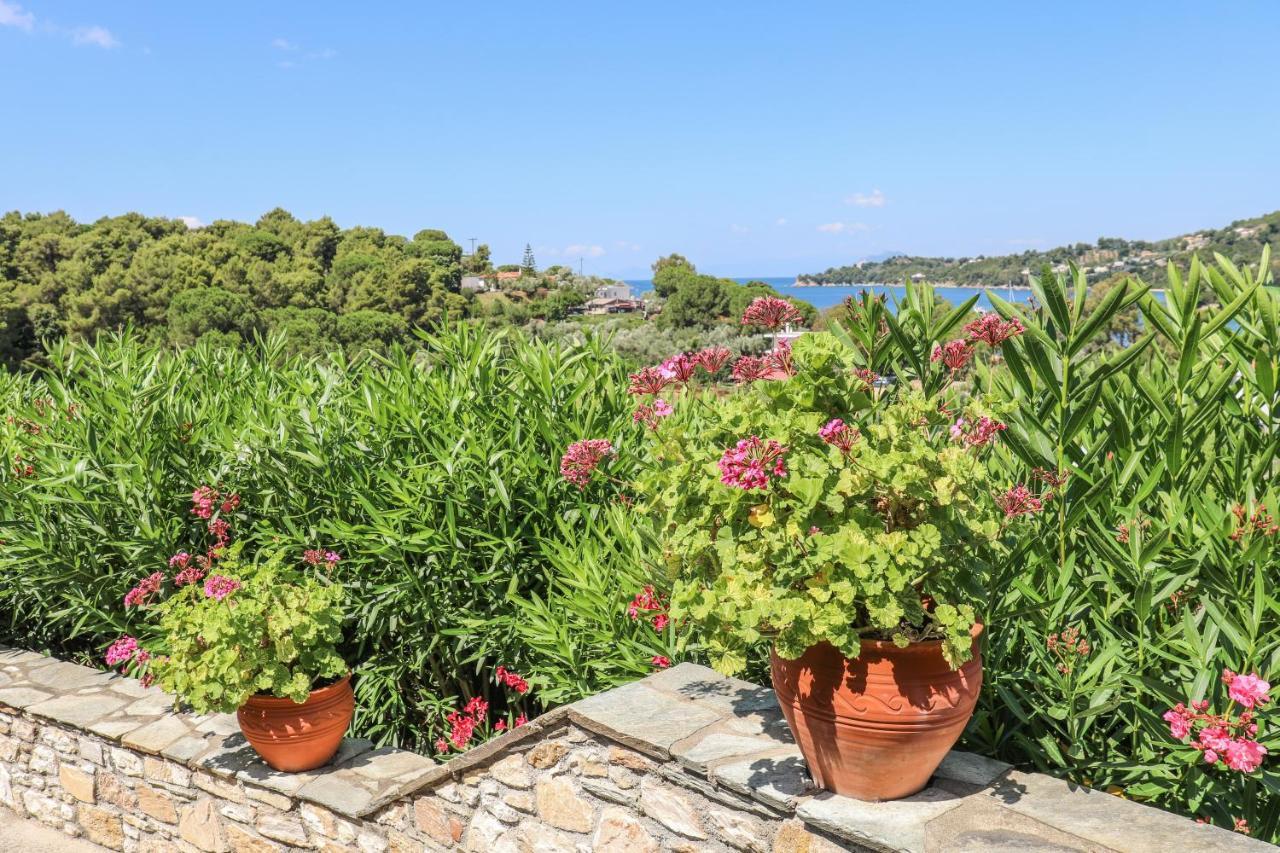 Hotel Pandora Skiathos