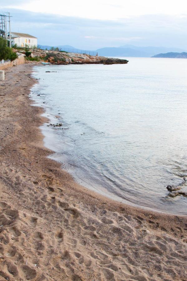 Apartment Seaside *