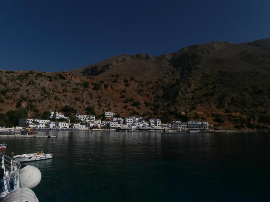 Oasis Hotel 2*