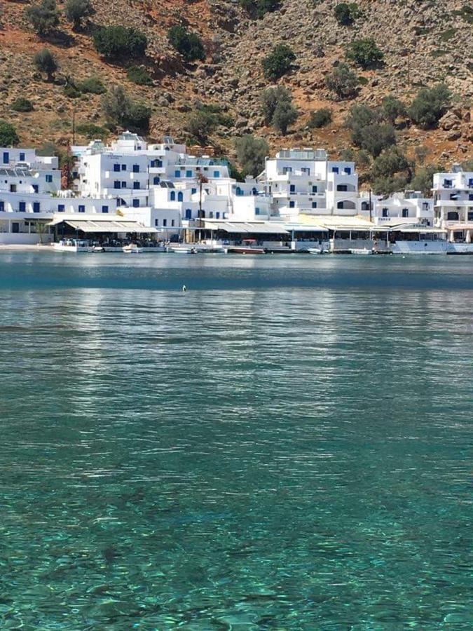 Oasis Hotel