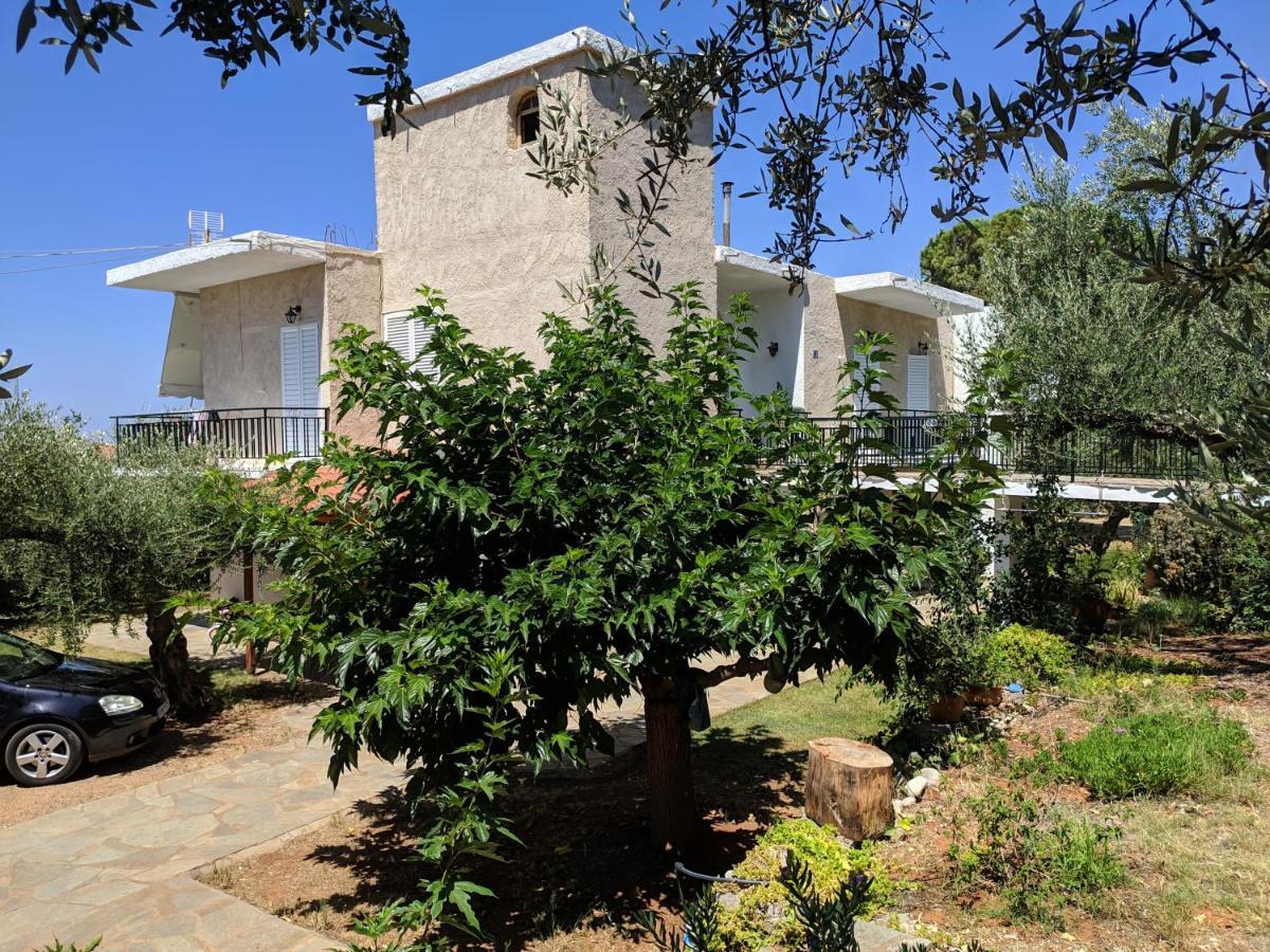 Oasis Apartment Stoupa
