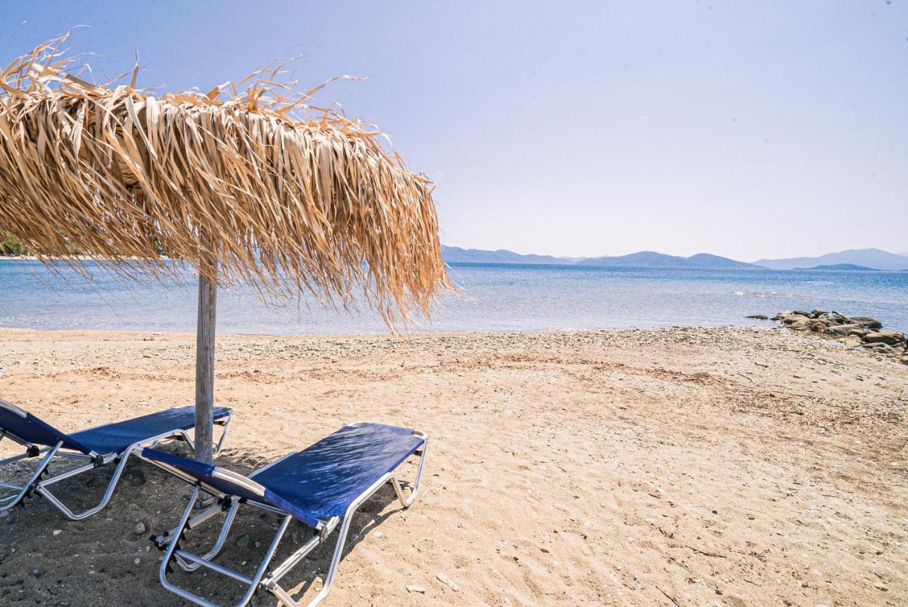 Aktaion 3* Kalamos (Thessaly)