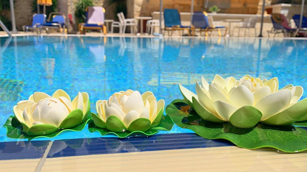 Aparthotel Kassavetis Center - & Hersonissos (Crete)