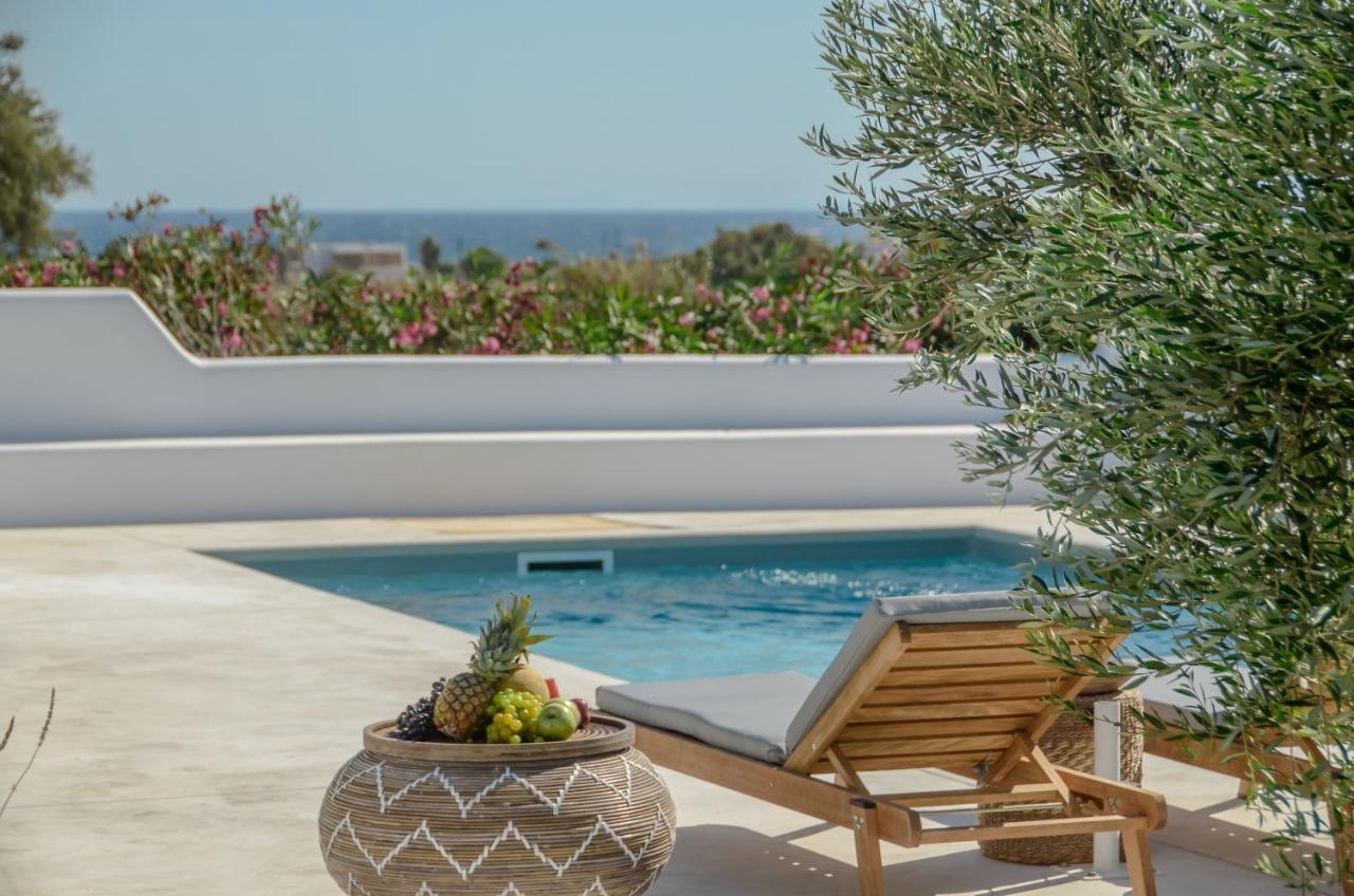 Aparthotel Sea & Olives And Plaka (Naxos)