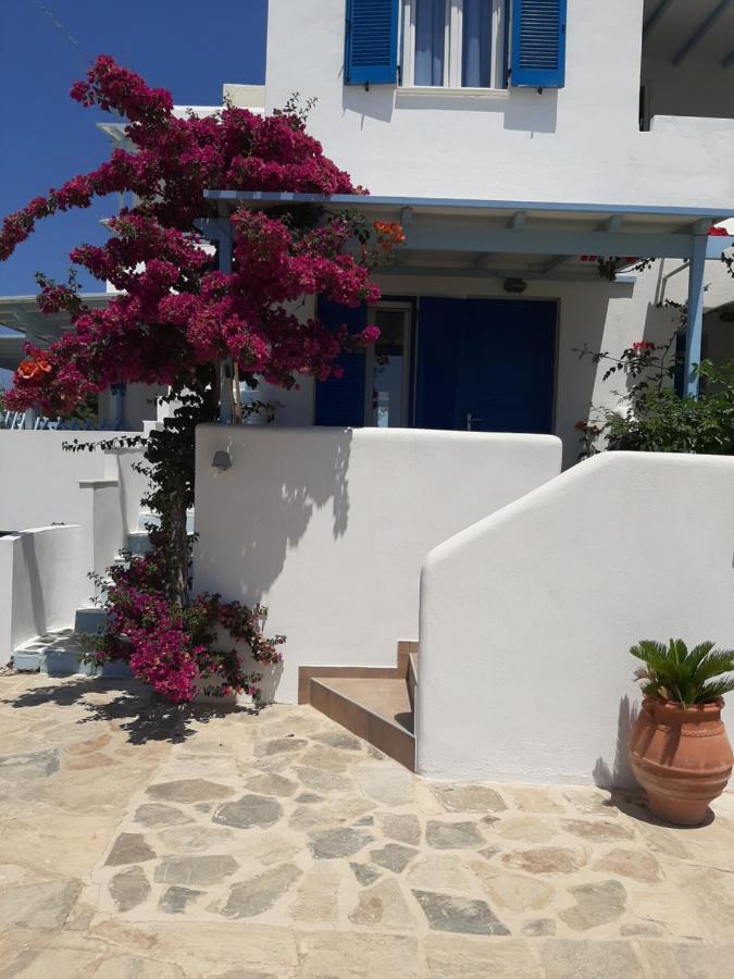 Stella Naxos Island Agia Anna (Naxos)