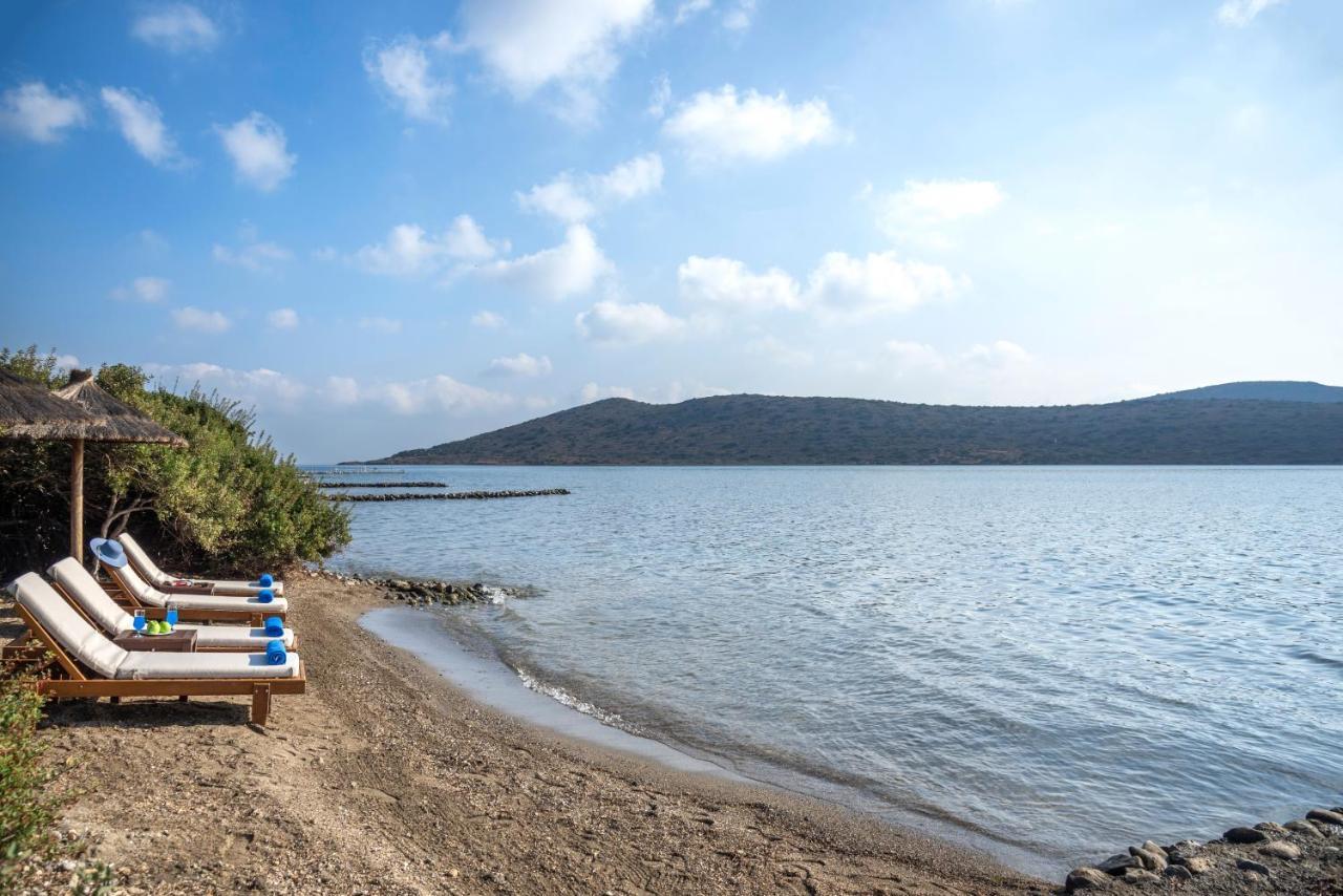 Villa Blue Island *