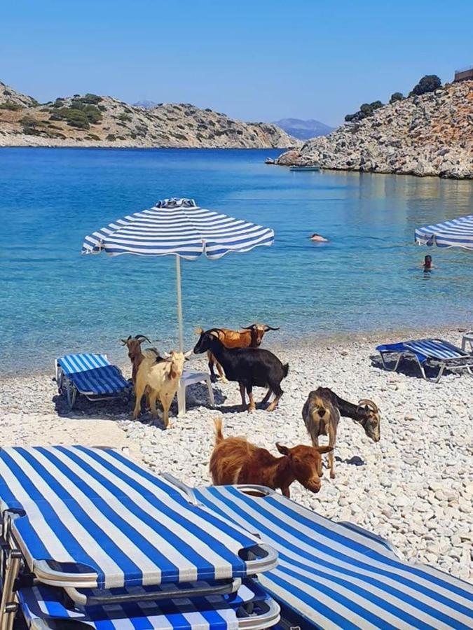 4 Seasons Suites Paradise On The Beach Holiday home Porto Rafti