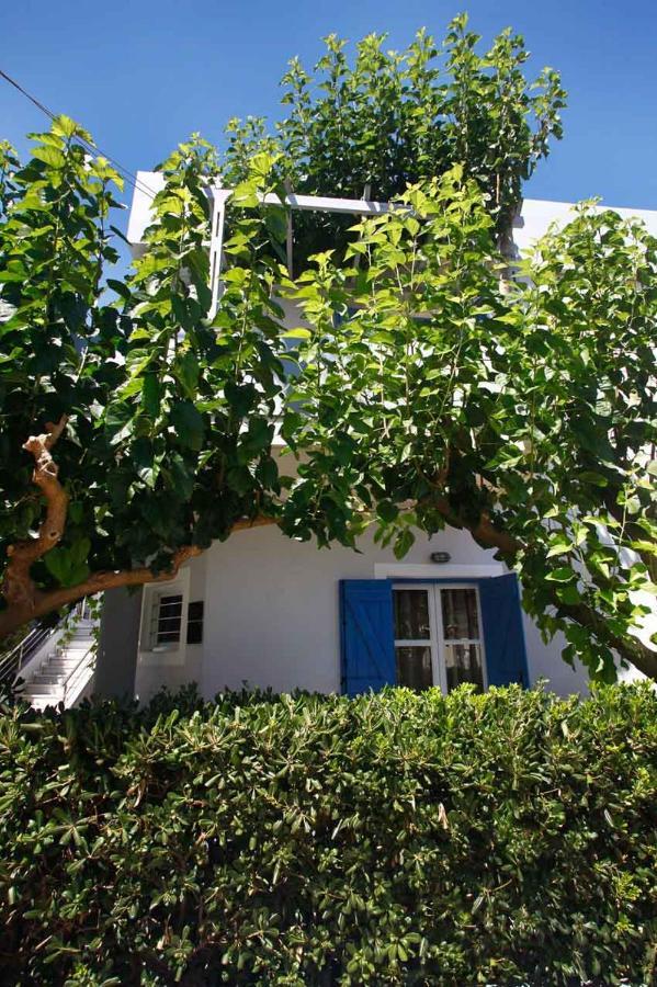 Apartment Studios Vasilis Agia Marina (Crete)