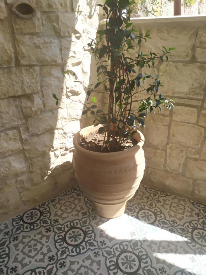Chrisanthi Apartment Parga