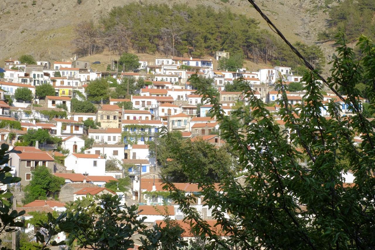 Aleka * Samothraki