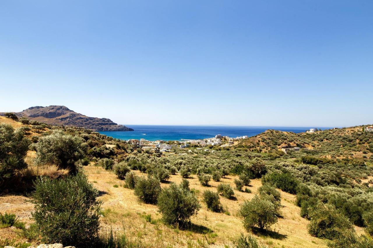 Almond With A Sea View Above *